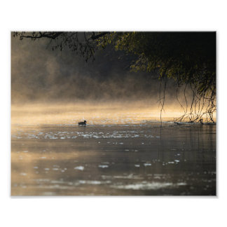 Morgenstimmung Fotodruck