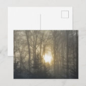 Morgenstimmung Postkarte (Vorne/Hinten)
