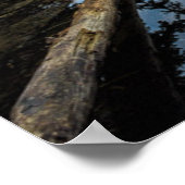 Morgenstimmung | See Eibsee Poster (Ecke)