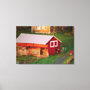 Morgenstunden auf dem Bauernhof. USA, Vermont Leinwanddruck
