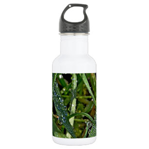 Morgentau auf dem Gras Trinkflasche