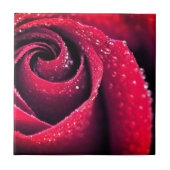 Morgentau bei Blütenblättern, Blumenfotografie Fliese (Vorderseite)