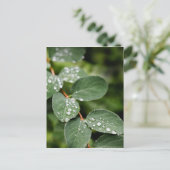 Morgentau im Garten Postkarte (Stehend Vorderseite)