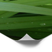 Morgentau Poster (Ecke)