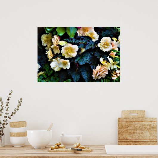 Morgentaub, Poster (Küche)