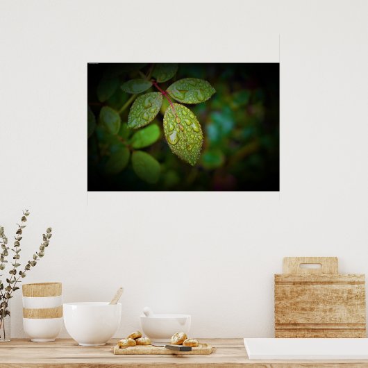 Morgentaub, Poster (Küche)