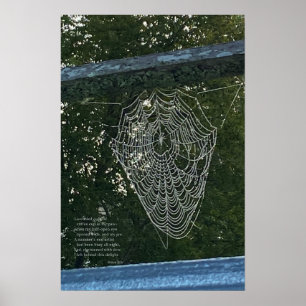 Morgenüberraschung, ein von Tauben bedecktes Spinn Poster