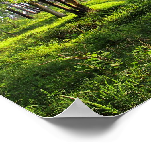 Morgenwald Poster (Ecke)