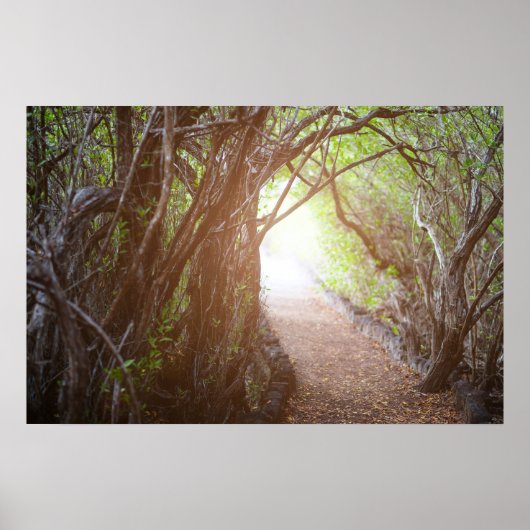 Morgenwald Poster (Vorne)