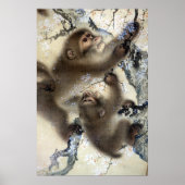 Mori Sosen Affen in einem blühenden Kirschbaum Poster (Vorne)