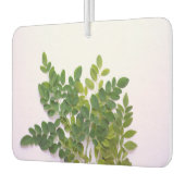 Moringa Blätter mit Textfläche Autolufterfrischer (Links)