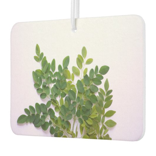 Moringa Blätter mit Textfläche Autolufterfrischer (Links)