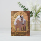 MORISCO IM FENSTER POSTKARTE (Stehend Vorderseite)