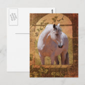 MORISCO IM FENSTER POSTKARTE (Vorne/Hinten)