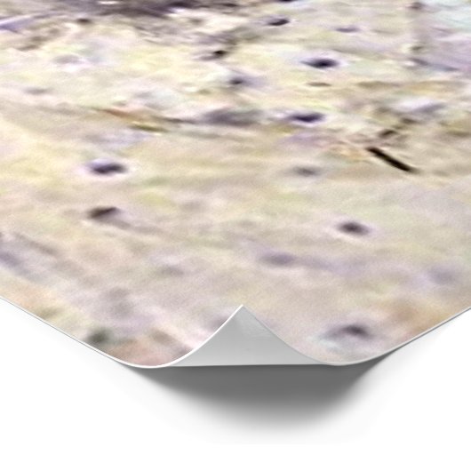 Morisot: Zwei Schwestern auf einer Couch Poster (Ecke)