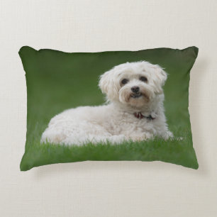 Moritz the Maltese Dekokissen