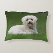 Moritz the Maltese Dekokissen (Rückseite)