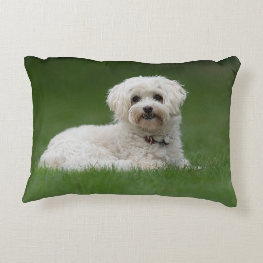 Moritz the Maltese Dekokissen (Rückseite)