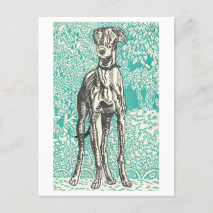 Moriz Jung Greyhound Print Postcard Postkarte