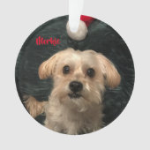 Morkie Acrylweihnachtsverzierung Ornament (Vorderseite)