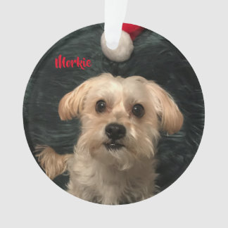 Morkie Acrylweihnachtsverzierung Ornament