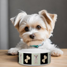 Morkie Dog Bowl mit Knochen