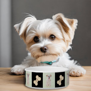 Morkie Dog Bowl mit Knochen Napf