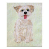 Morkie Dog Glossy Poster (Vorderseite)