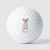 Morkie Dog Golf Balls Golfball (Vorderseite)