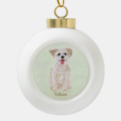 Morkie Dog Keramik Ball Ornament (Vorderseite)