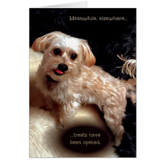 Morkie Dog Niedlich Funny Meme Puppy Birthday Card
