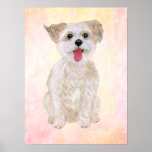 Morkie Dog Print mit farbigem Hintergrund Poster