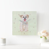 Morkie Dog Square Acrylklemme mit Ziffern Quadratische Wanduhr (Zuhause)