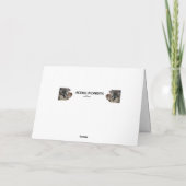 Morkie Grußkarte Karte (Rückseite)