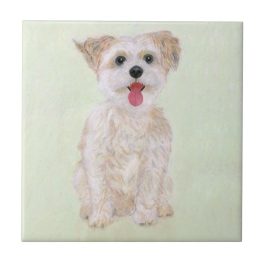 Morkie-Hund-Kachel Fliese (Vorderseite)