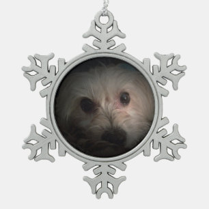 Morkie Hundewelpen-niedliche Rettungs-Verzierung Schneeflocken Zinn-Ornament