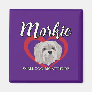 Morkie - Kleiner Hund, große Höhe - 3 Magnet