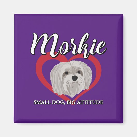 Morkie - Kleiner Hund, große Höhe - 3 Magnet (Vorne)