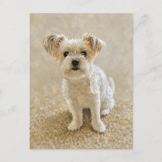 Morkie Liebe Postkarte (Vorderseite)