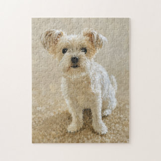Morkie Liebe Puzzle