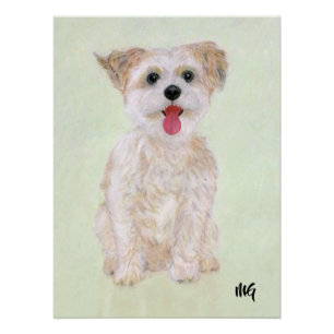 Morkie-Plakat mit Text Poster