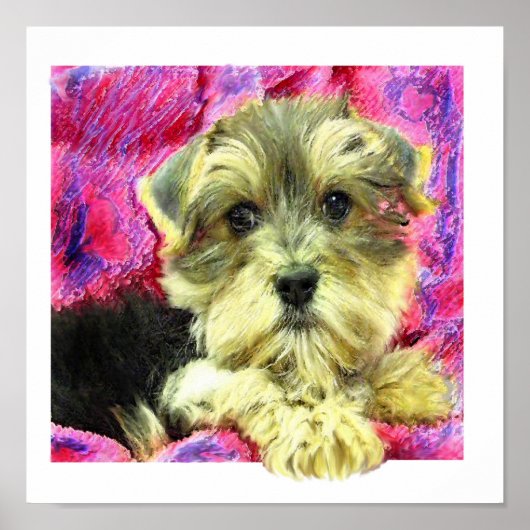 Morkie Poster (Vorne)