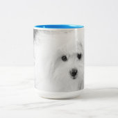 Morkie Tasse (Mittel)