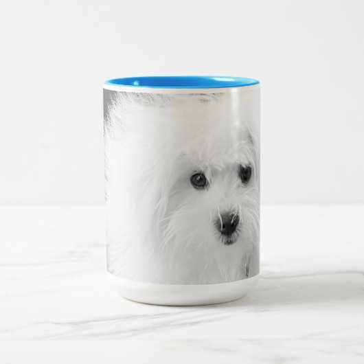 Morkie Tasse (Mittel)