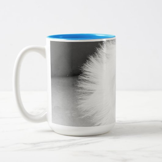 Morkie Tasse (Links)