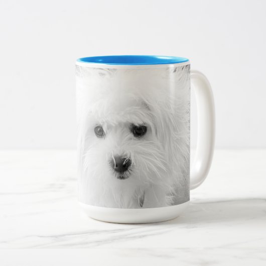 Morkie Tasse (VorderseiteRechts)