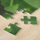 Mormon Butterfly Puzzle (Seite)