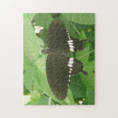 Mormon Butterfly Puzzle (Vertikal)