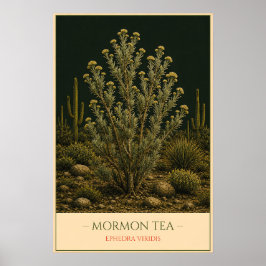 Mormon Tea – Botanische Vintage-Illustration Poster