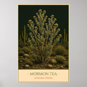 Mormonentee Poster